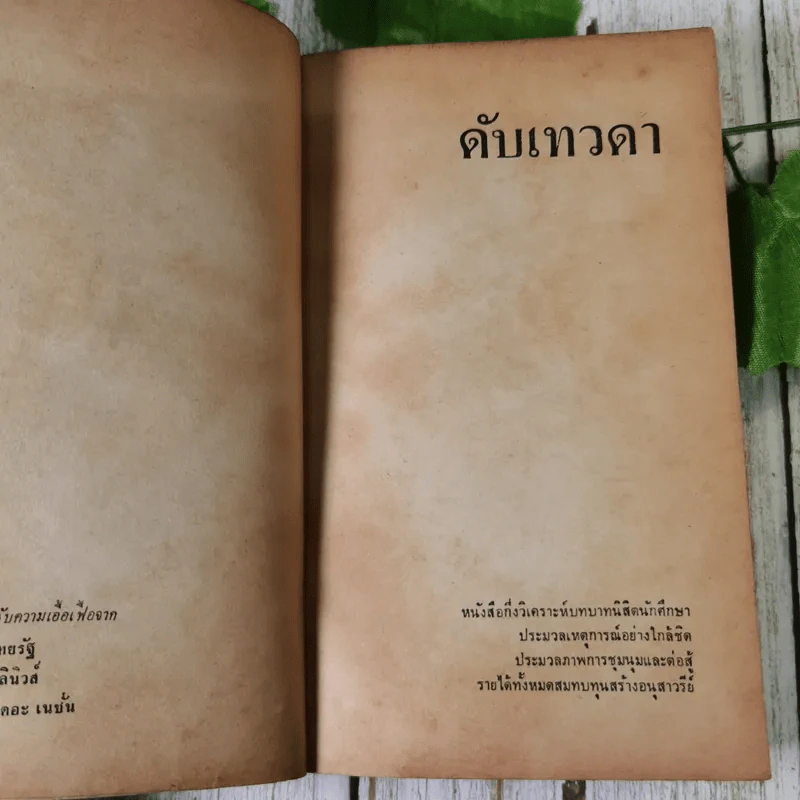 ดับเทวดา - พ.ต.ต.อนันต์ เสนาขันธ์ และคณะ รูปที่ 10