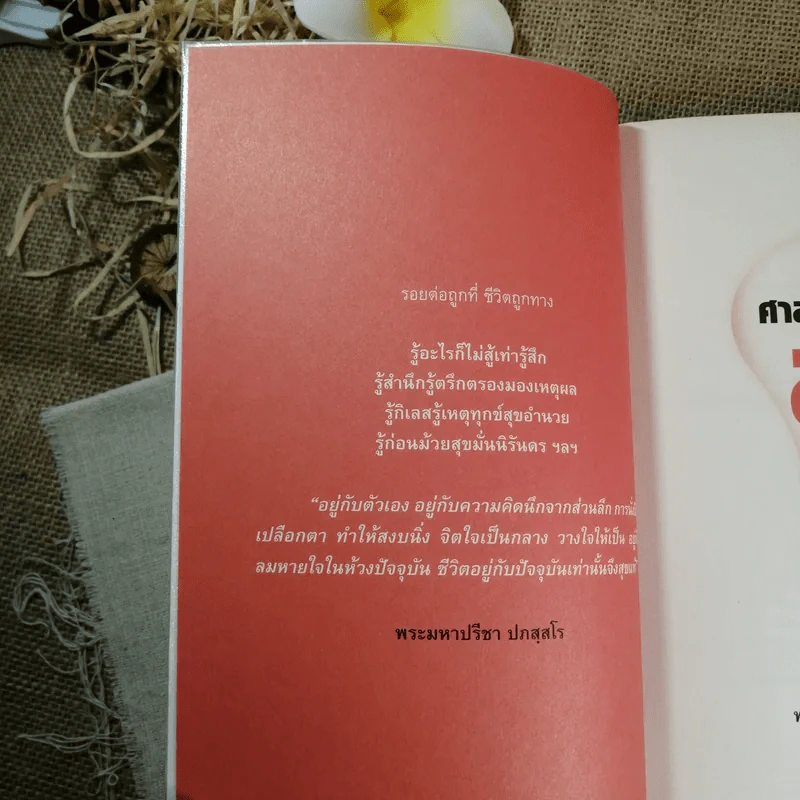 ศาสตร์สู่ความสุข - พระมหาปรีชา ปภสสโร รูปที่ 8