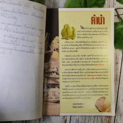 ส้มตำและอาหารรสแซบ อาชีพแก้จน แม่บ้าน รูปที่ 8