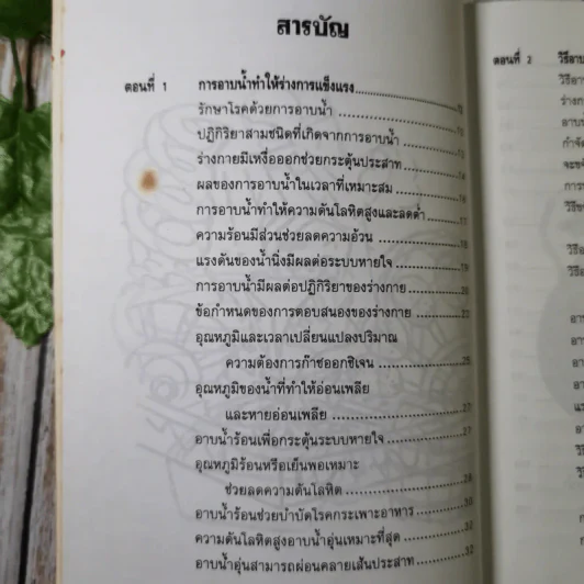อาบน้ำบำบัดโรค - ม.อึ้งอรุณ รูปที่ 10