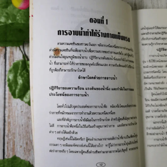 อาบน้ำบำบัดโรค - ม.อึ้งอรุณ รูปที่ 12