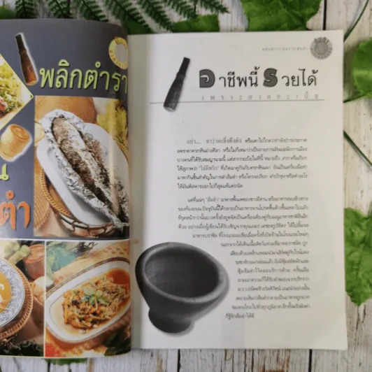 ส้มตำและอาหารรสแซบ อาชีพแก้จน แม่บ้าน รูปที่ 11