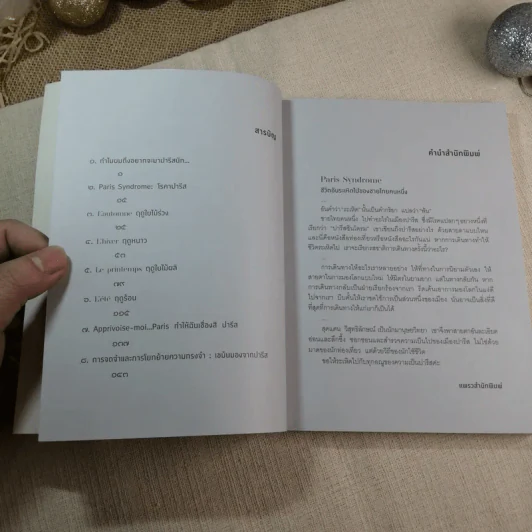 Paris Syndrome ชีวิตอันระเหิดไปของชายไทยคนหนึ่ง - สุดแดน วิสุทธิลักษณ์ รูปที่ 6