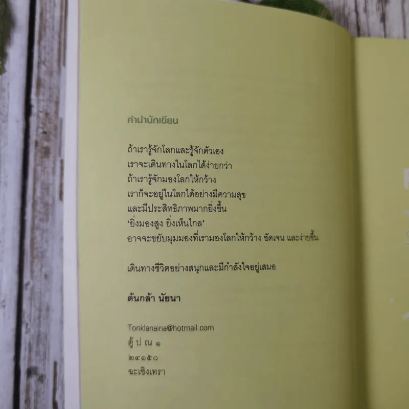 Stand High by Yourself ยิ่งมองสูงยิ่งเห็นไกล - ต้นกล้า นัยนา รูปที่ 10