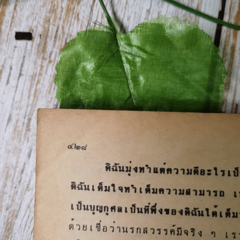 กฎแห่งกรรมชุด 1 ท้าพิสูจน์ ตายแล้วฟื้น - แสง อรุณกุศล รูปที่ 17