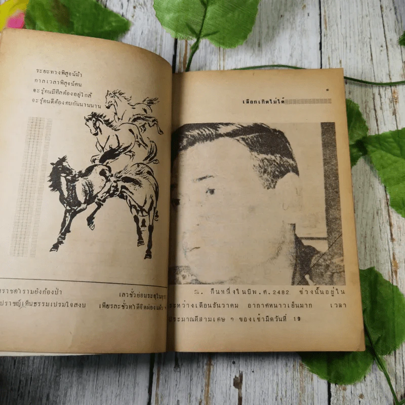 กฎแห่งกรรมชุด 1 ท้าพิสูจน์ ตายแล้วฟื้น - แสง อรุณกุศล รูปที่ 15