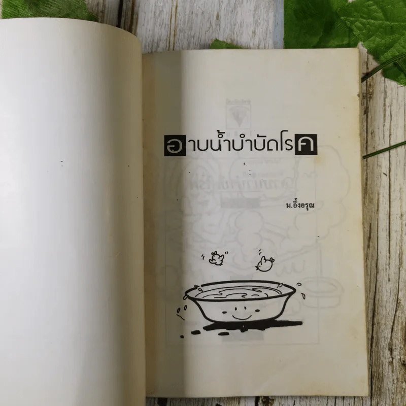 อาบน้ำบำบัดโรค - ม.อึ้งอรุณ รูปที่ 7