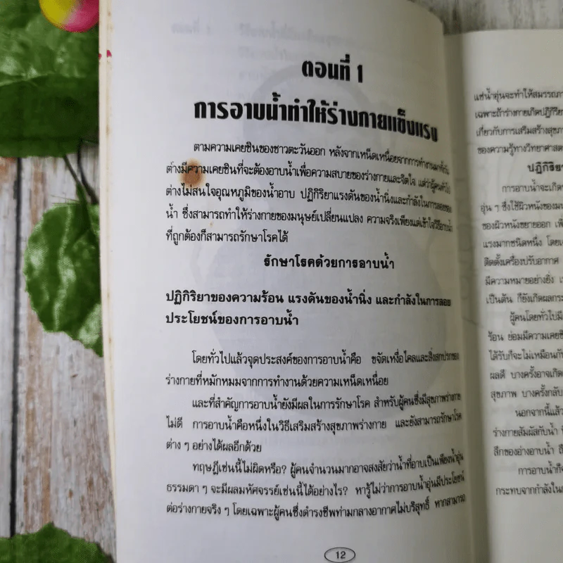 อาบน้ำบำบัดโรค - ม.อึ้งอรุณ รูปที่ 12