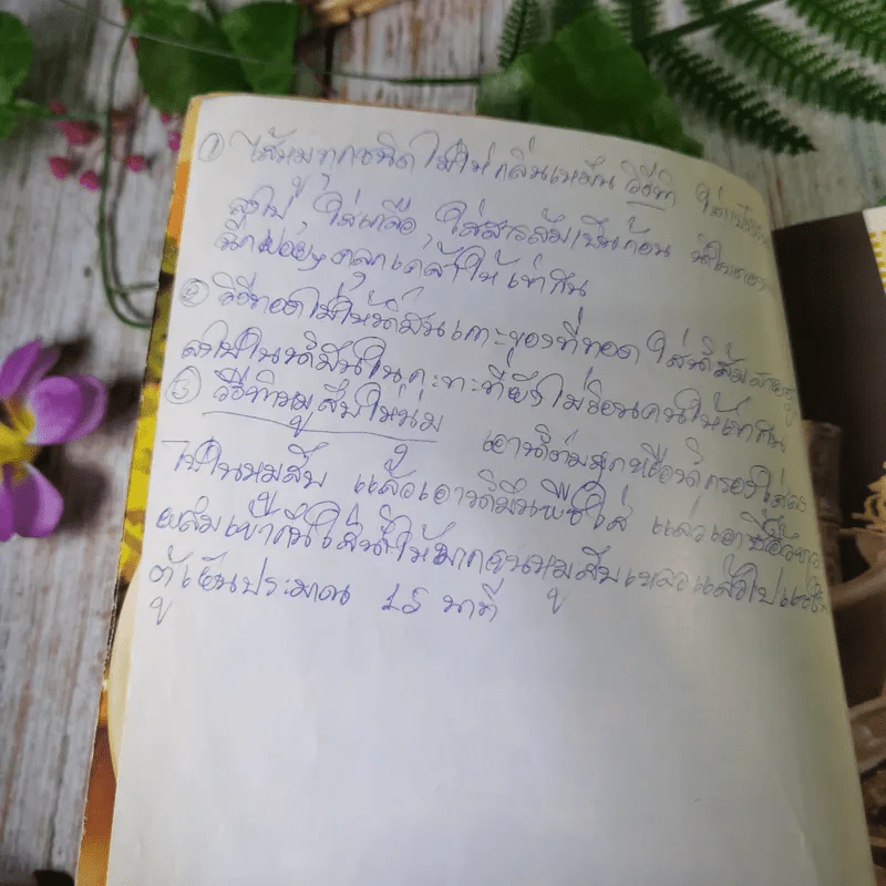 ส้มตำและอาหารรสแซบ อาชีพแก้จน แม่บ้าน รูปที่ 7
