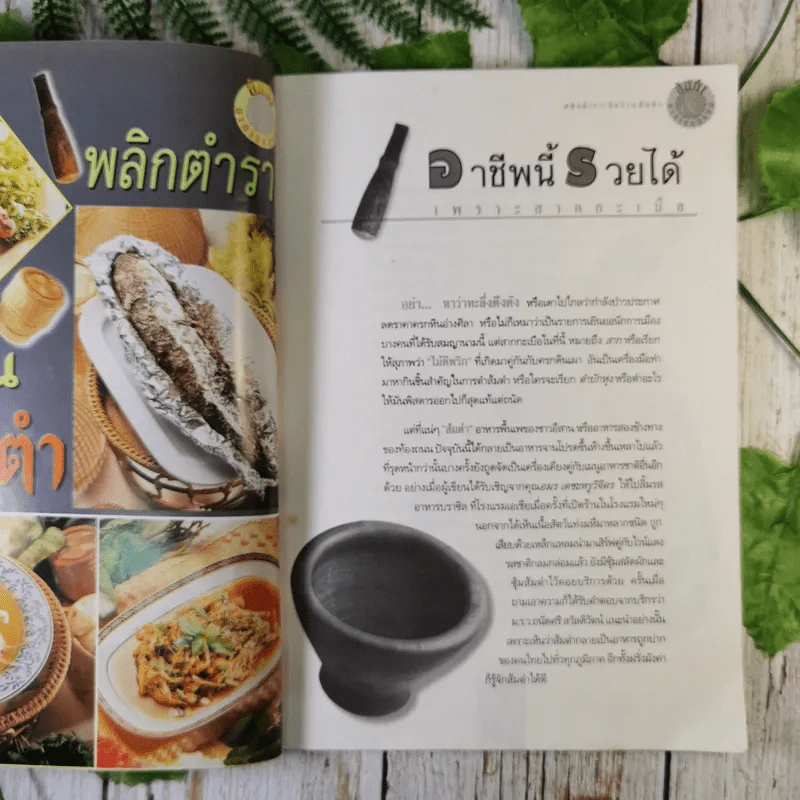 ส้มตำและอาหารรสแซบ อาชีพแก้จน แม่บ้าน รูปที่ 11