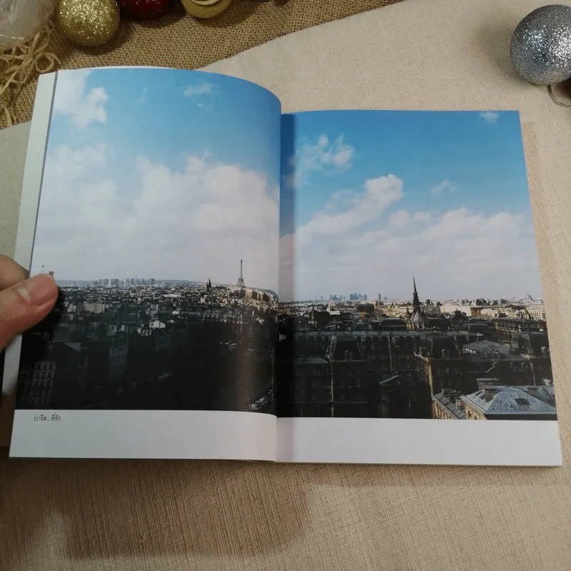 Paris Syndrome ชีวิตอันระเหิดไปของชายไทยคนหนึ่ง - สุดแดน วิสุทธิลักษณ์ รูปที่ 9