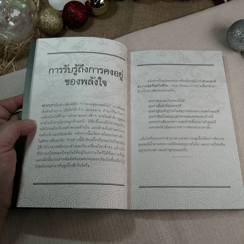 พลังใจนิวเคลียร์ - โอ เทพรัตน์ รูปที่ 11