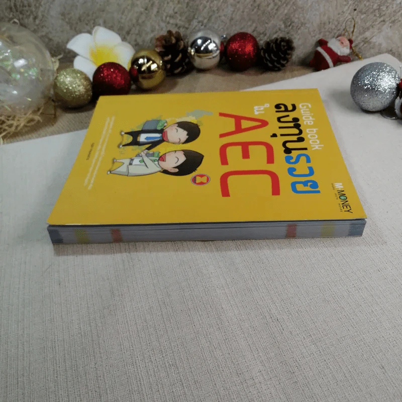 Guide book ลงทุนรวยใน AEC - ณฐอร เกษมสงคราม รูปที่ 3