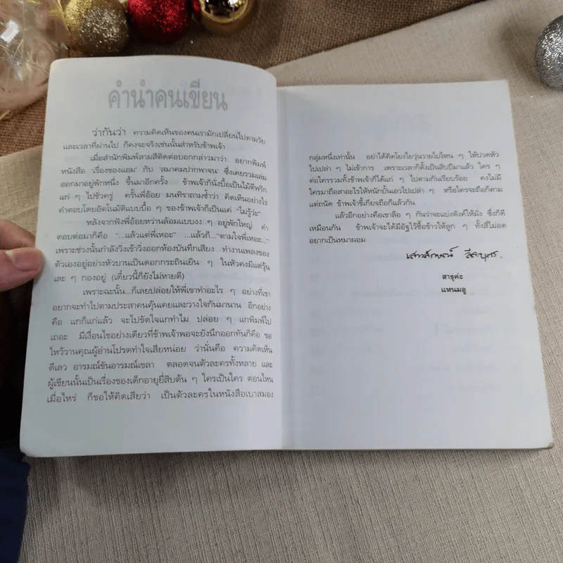 เรื่องของแอม - แอม เสาวลักษณ์ ลีละบุตร รูปที่ 5