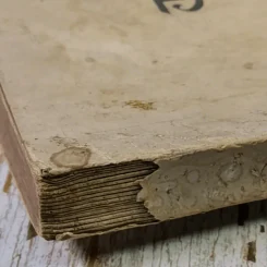 อนุสรณ์นางรำเพย จำปีรัตน์ รูปที่ 8