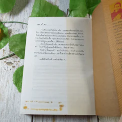 แผ่นดินอื่น - กนกพงศ์ สงสมพันธุ์ รูปที่ 11