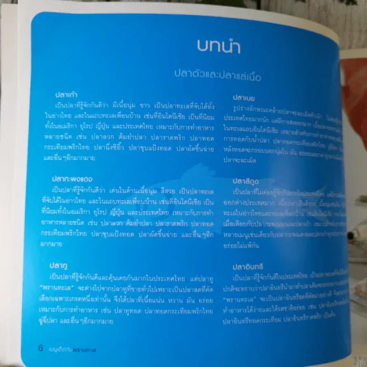 เมนูเด็ดกับพรานทะเล ลำดับ 3 รูปที่ 12