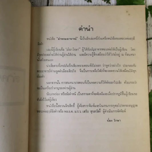 ล่าพระอาจารย์ (หนังสือในเครือของหลวงพ่อฤาษีลิงดำ) - ป่อง โกษา รูปที่ 8