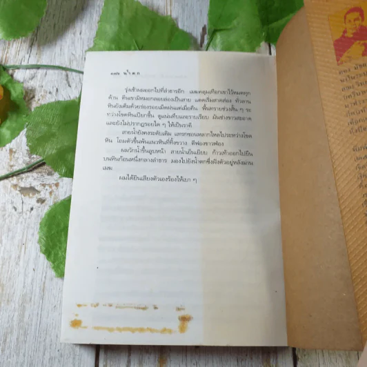 แผ่นดินอื่น - กนกพงศ์ สงสมพันธุ์ รูปที่ 11