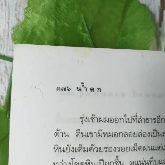 แผ่นดินอื่น - กนกพงศ์ สงสมพันธุ์ รูปที่ 12