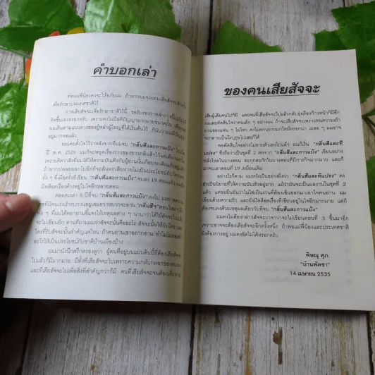 กลิ่นสีและทีแปรง - พิษณุ ศุภ รูปที่ 5