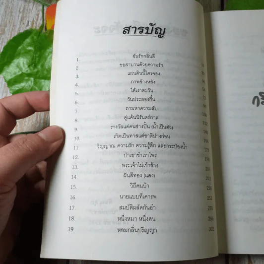 กลิ่นสีและทีแปรง - พิษณุ ศุภ รูปที่ 6