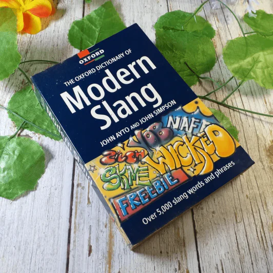 The Oxford Dictionary of Modern Slang - John Ayto and John Simpson รูปที่ 1