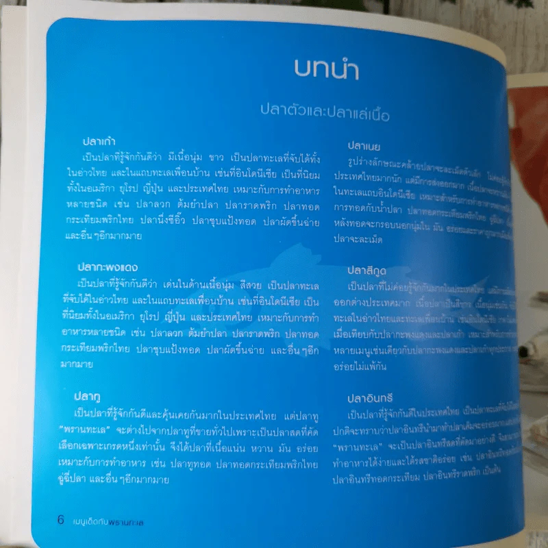 เมนูเด็ดกับพรานทะเล ลำดับ 3 รูปที่ 12