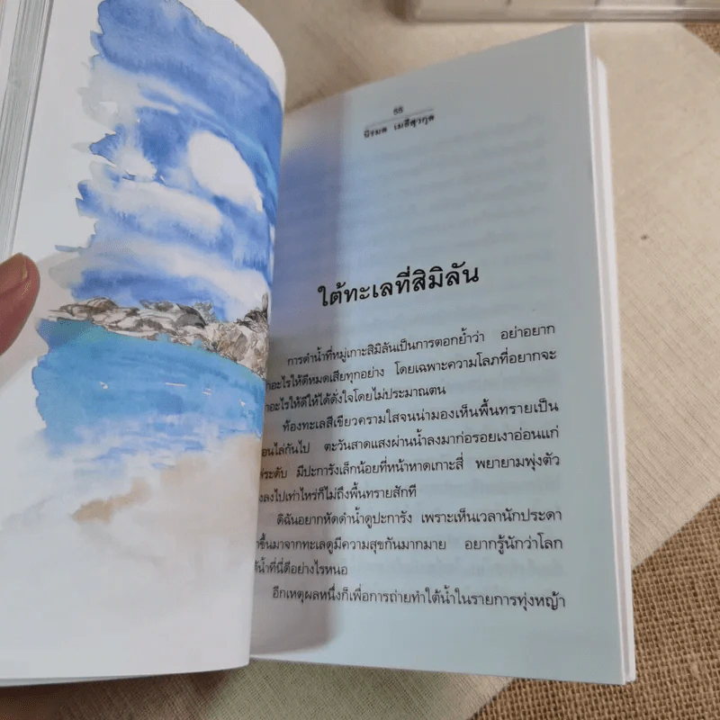 อยากให้เป็นอย่างนี้ทุกวัน - นิรมล เมธีสุวกุล รูปที่ 9