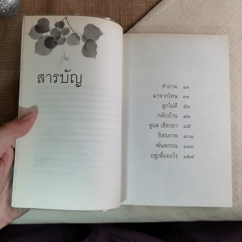 กลับบ้าน - โจน จันใด รูปที่ 8