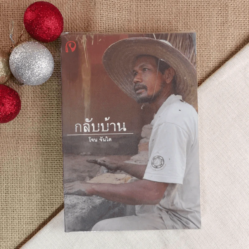 กลับบ้าน - โจน จันใด รูปที่ 1