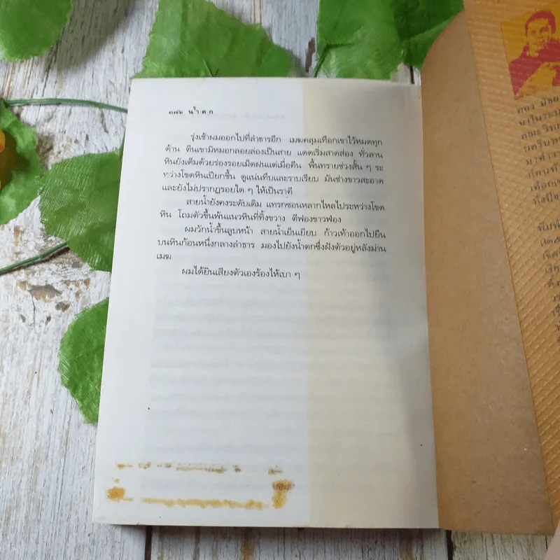 แผ่นดินอื่น - กนกพงศ์ สงสมพันธุ์ รูปที่ 11