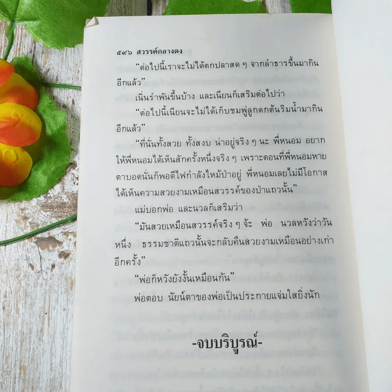 สวรรค์กลางดง - ชูวงศ์ ฉายะจินดา รูปที่ 6