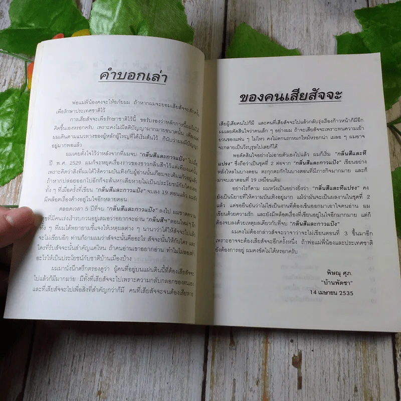 กลิ่นสีและทีแปรง - พิษณุ ศุภ รูปที่ 5