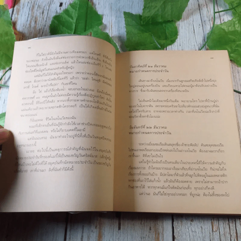 Princess in Waiting + Diaries + In Love - Meg Cabot, มณฑารัตน์ ทรงเผ่า แปล รูปที่ 8