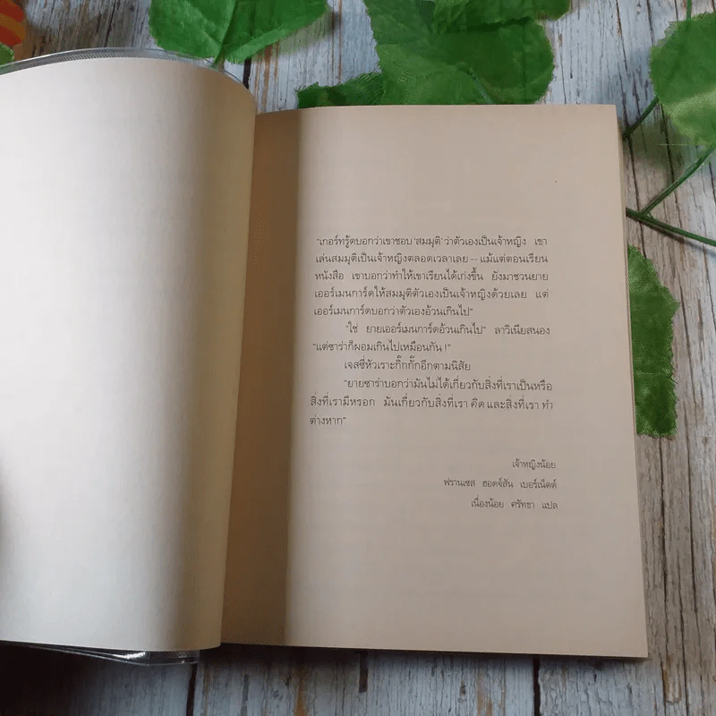 Princess in Waiting + Diaries + In Love - Meg Cabot, มณฑารัตน์ ทรงเผ่า แปล รูปที่ 13