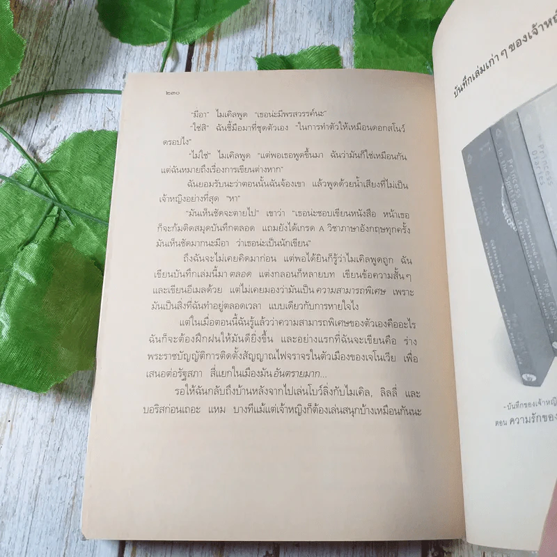 Princess in Waiting + Diaries + In Love - Meg Cabot, มณฑารัตน์ ทรงเผ่า แปล รูปที่ 9