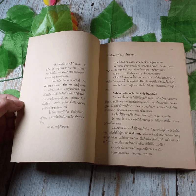 Princess in Waiting + Diaries + In Love - Meg Cabot, มณฑารัตน์ ทรงเผ่า แปล รูปที่ 20