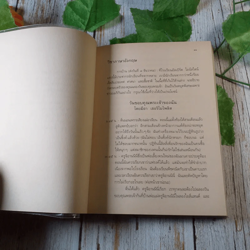 Princess in Waiting + Diaries + In Love - Meg Cabot, มณฑารัตน์ ทรงเผ่า แปล รูปที่ 14