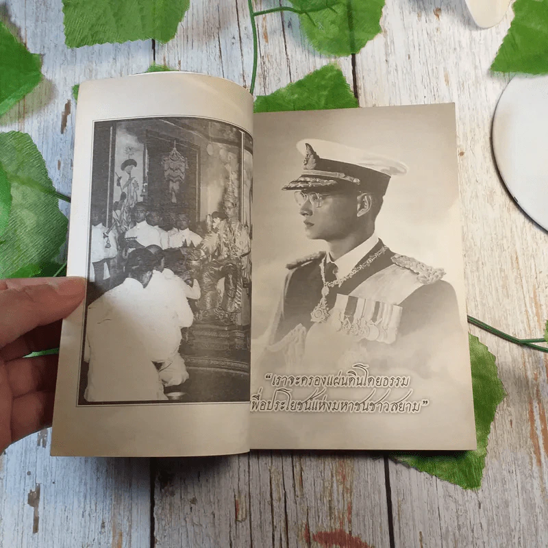 พรวิเศษของพ่อ รูปที่ 3