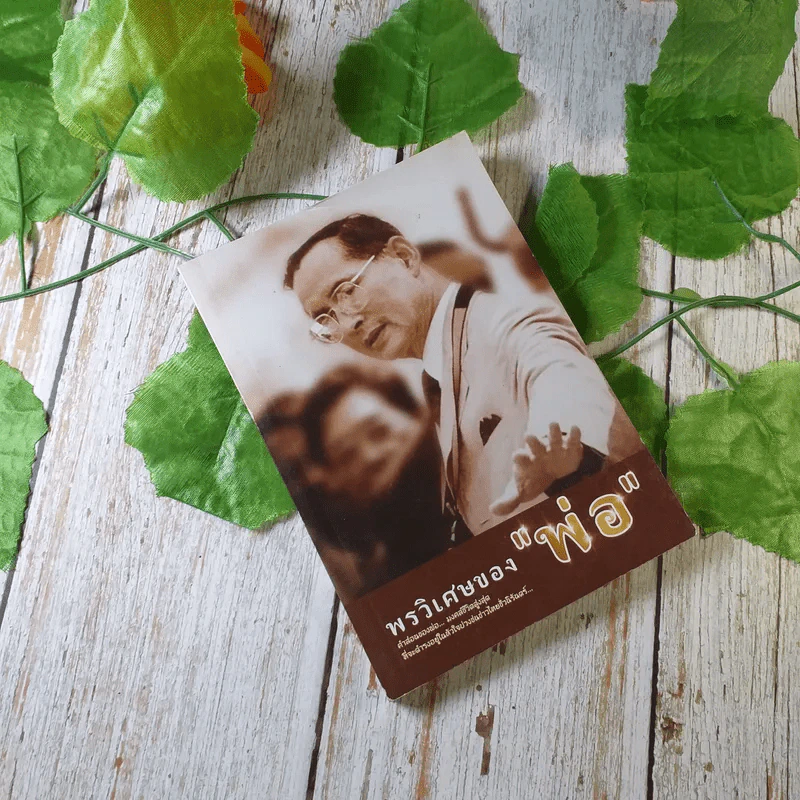 พรวิเศษของพ่อ รูปที่ 1