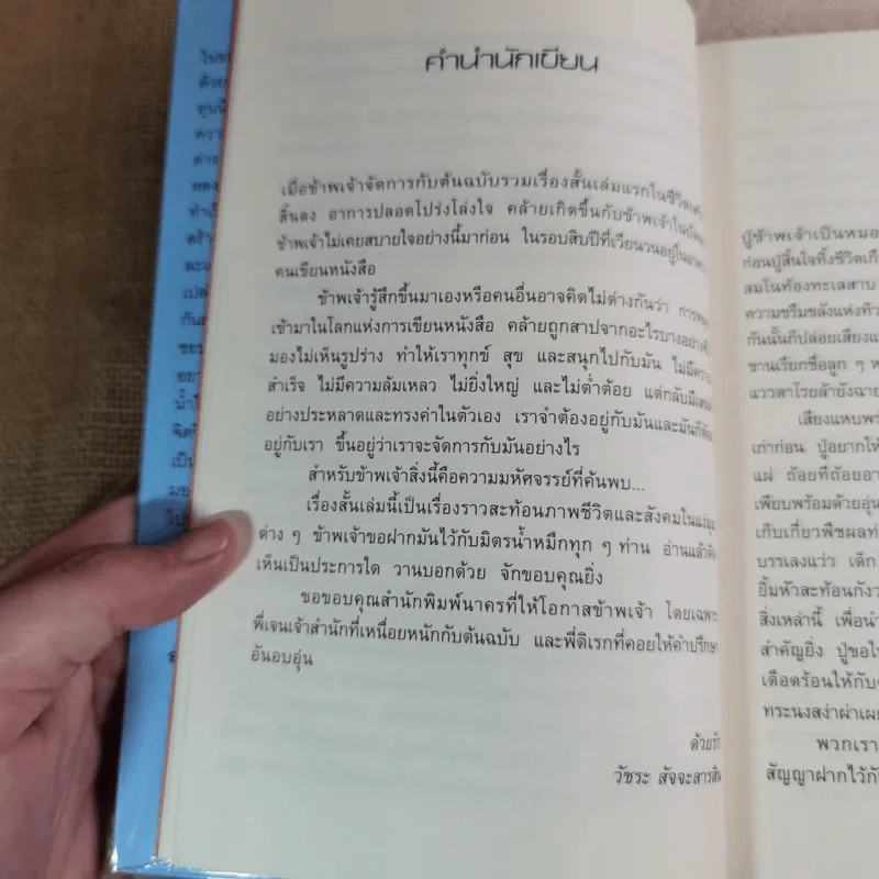 เราหลงลืมอะไรบางอย่าง - วัชระ สัจจะสารสิน รูปที่ 10