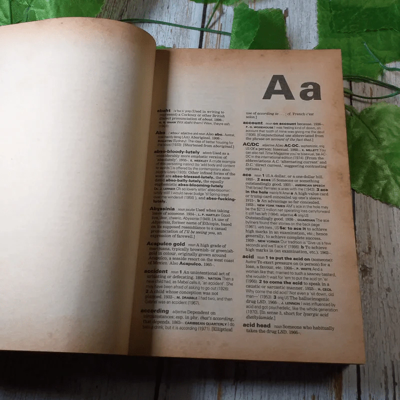 The Oxford Dictionary of Modern Slang - John Ayto and John Simpson รูปที่ 7