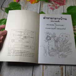 ตำรายาชาวบ้าน (ขนานแท้) ของ หลวงพ่อศุข วัดมะขามเฒ่าและกรมหลวงชุมพร เขตอุดมศักดิ์ รูปที่ 4