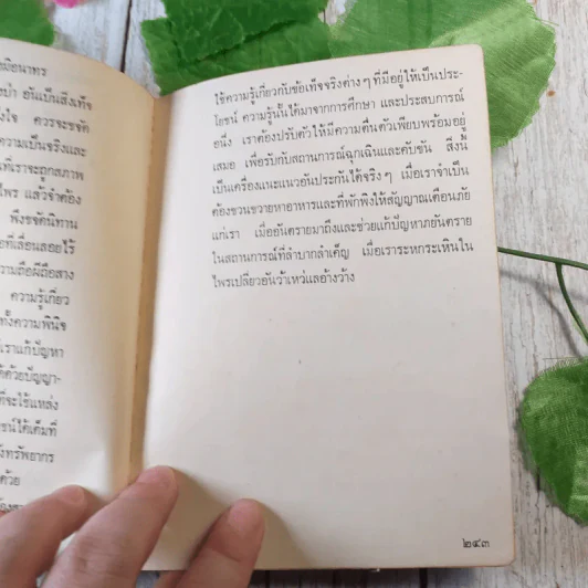 ป่า - จินดา ดวงจินดา รูปที่ 9