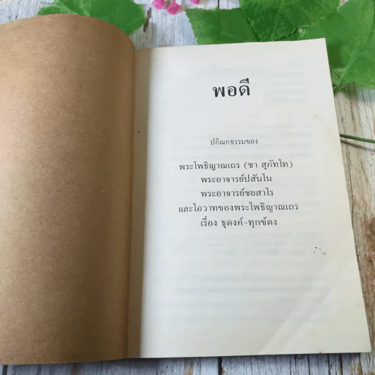 พอดี ปกิณกธรรมของพระโพธิญาณเถร (ชา สุภัทโท) รูปที่ 4