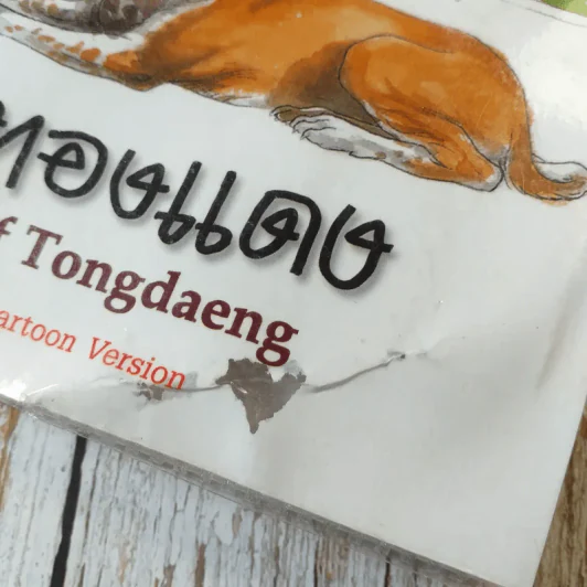 เรื่อง ทองแดง The Story of Tongdaeng ฉบับการ์ตูน ภาพสี รูปที่ 3