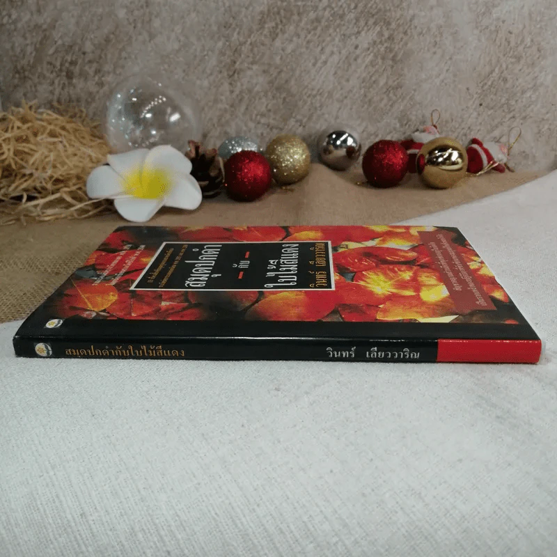 สมุดปกดำกับใบไม้สีแดง - วินทร์ เลียววาริณ รูปที่ 2