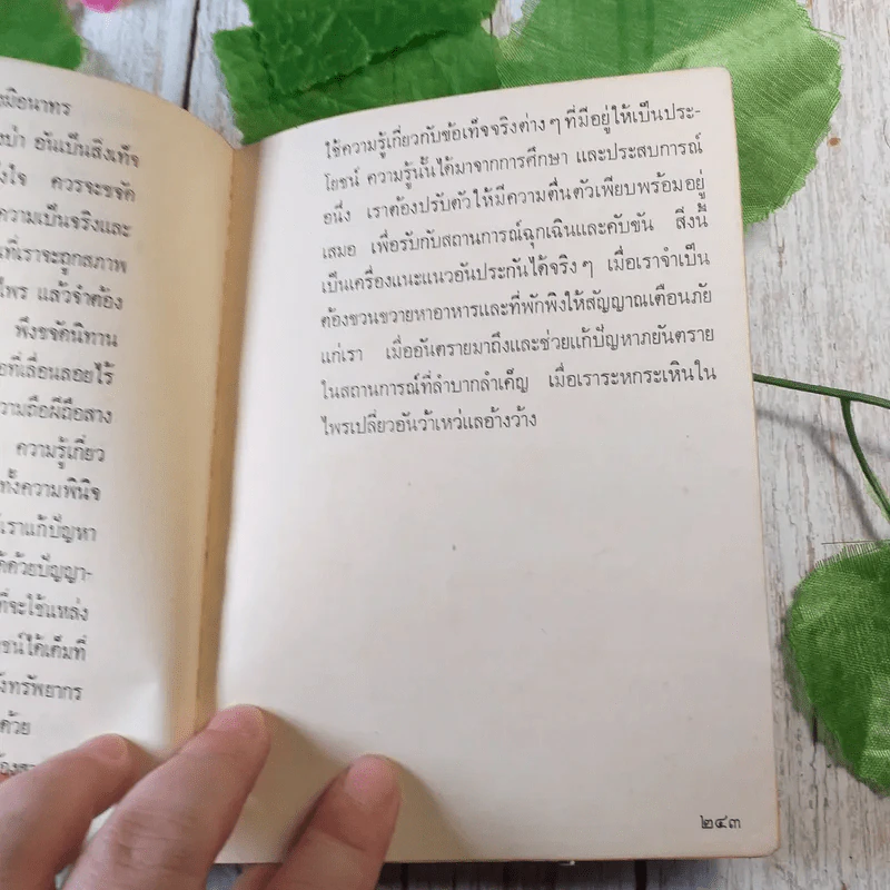 ป่า - จินดา ดวงจินดา รูปที่ 9
