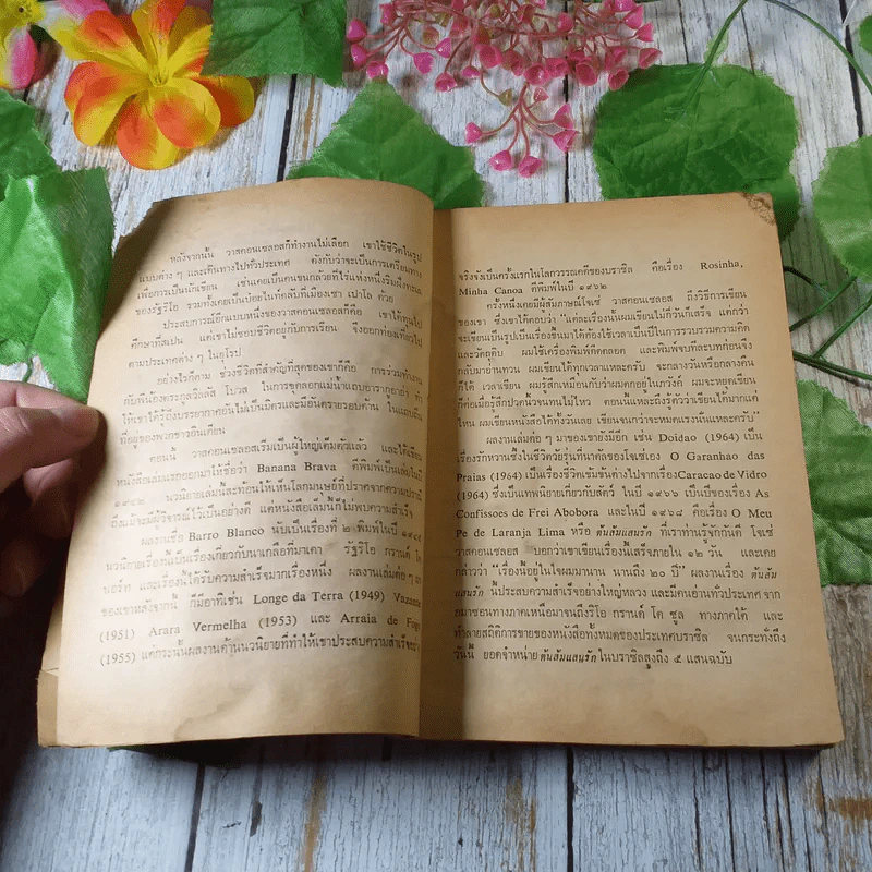 ต้นส้มแสนรัก - โจเซ่ วาสคอนเซลอส รูปที่ 8